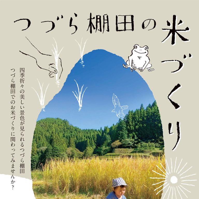 イラスト‐田んぼリーフレット
