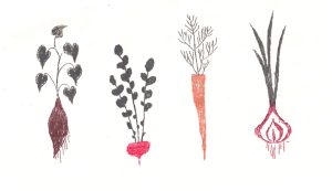 手書きのかわいい植物イラスト野菜