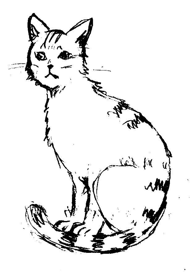 やさしい猫イラストの描き方