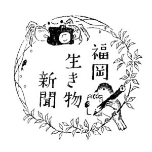 手書き　動物　イラスト　ロゴ